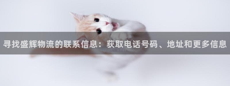 28圈注册网站链接怎么弄：寻找盛辉物