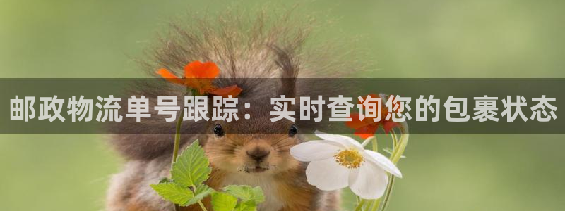 28圈娱乐官网网页