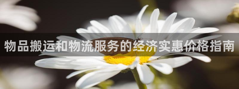 28圈不给提现