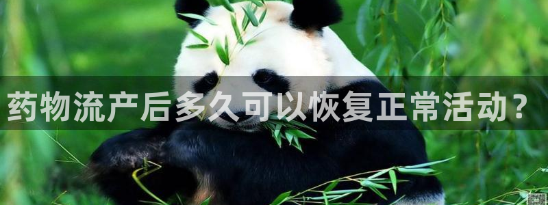 加拿大28圈是什么