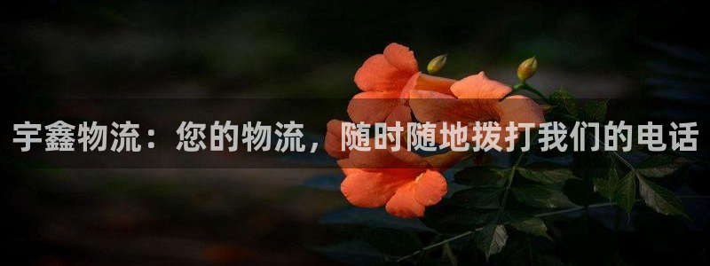 28圈.ccm官网：宇鑫物流：您的物