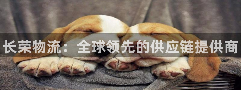 28圈加拿大预测
