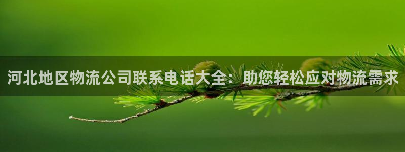 28圈能退款吗