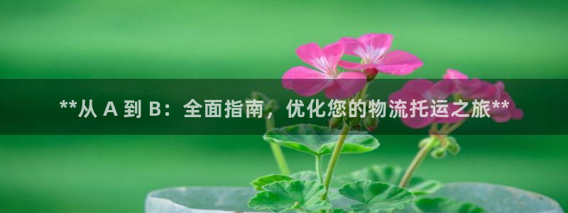 28圈怎么注册账号和密码：**从 A