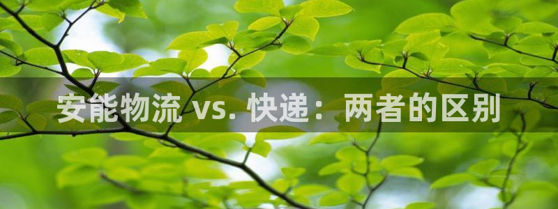28圈加拿大app预测