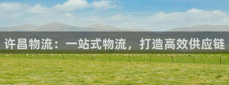 28圈在线预测