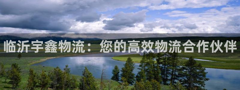 28圈注册网站多少钱一个：临沂宇鑫物流：您的高效物流合作伙伴