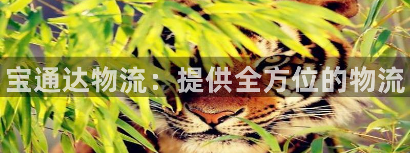 28圈注册号：宝通达物流：提供全方位的物流
