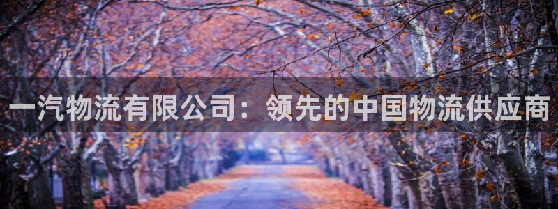 28圈预测加拿大：一汽物流有限公司：