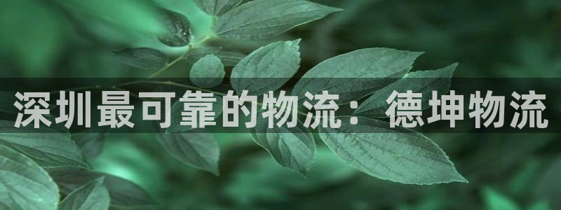 28圈加拿大
