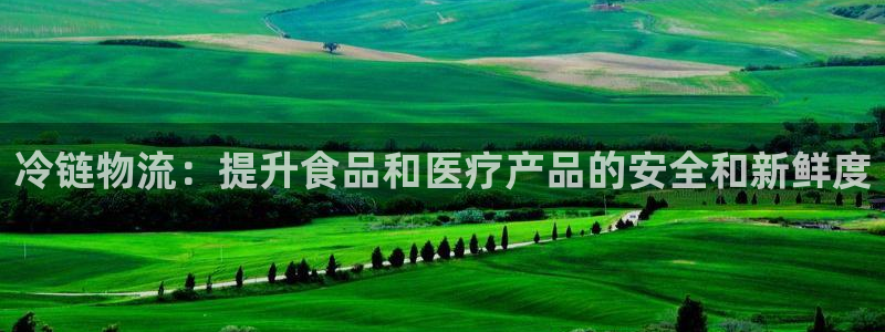 28圈选28ng官网：冷链物流：提升食品和医疗产品的安全和新
