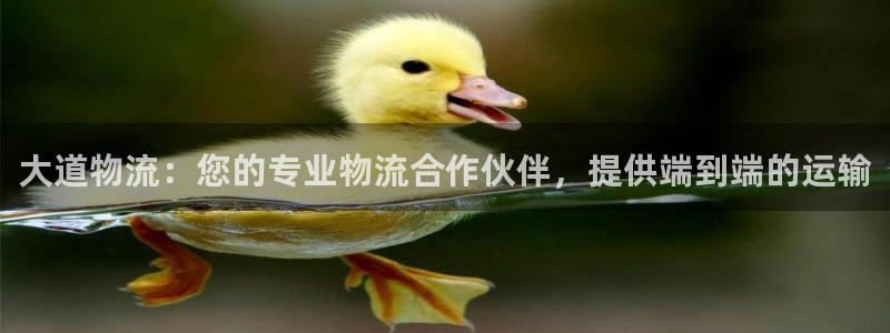 28圈充值为什么充不了