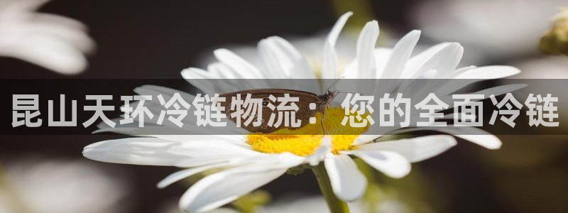 28圈代理落网：昆山天环冷链物流：您
