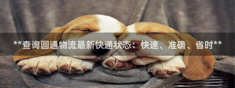 28圈充值不到账怎么回事