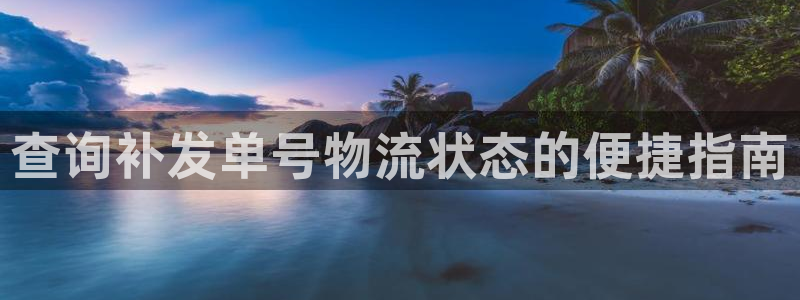 28圈电子：查询补发单号物流状态的便