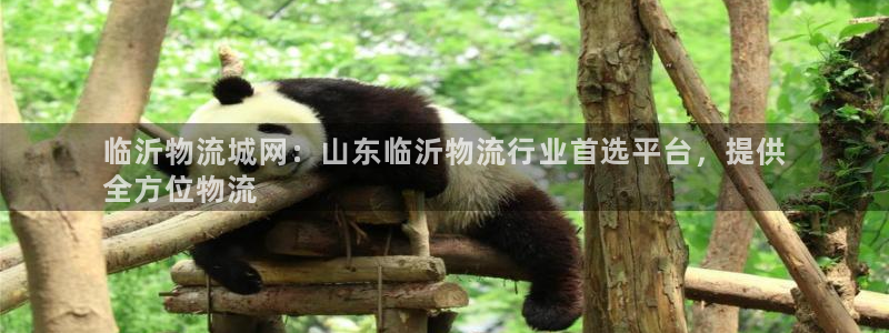 28圈链接多少