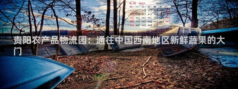 28圈推广链接是多少粉丝