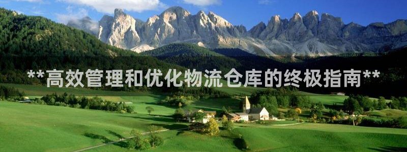 28圈.ccmo：**高效管理和优化
