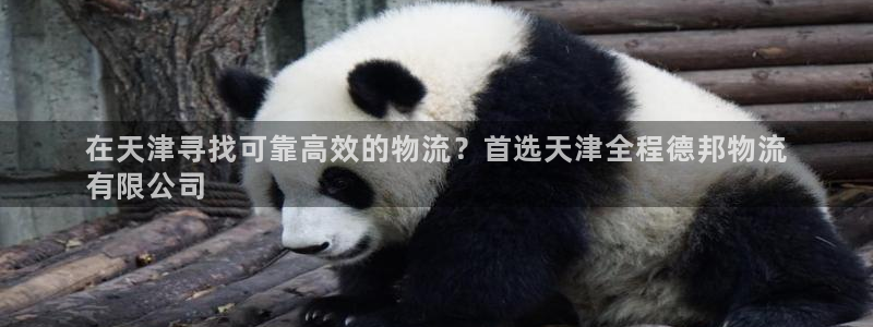 28圈充值不到账怎么回事