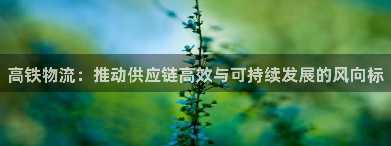 28圈预测