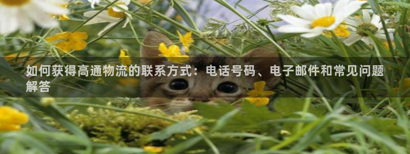 28圈注册链接教程：如何获得高通物流