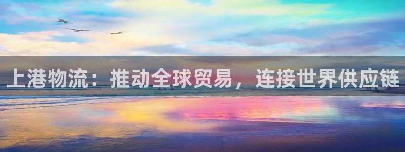 28圈相信品牌的力量：上港物流：推动