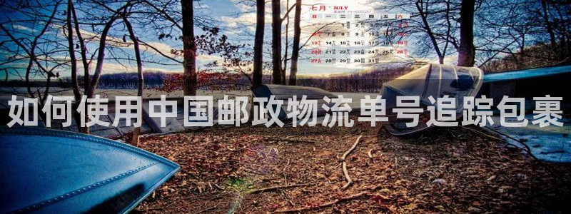 28圈登录不上咋回事：如何使用中国邮