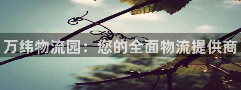 28圈登录不上咋回事：万纬物流园：您