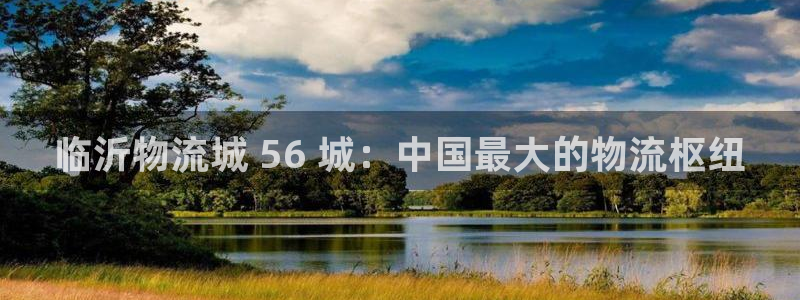 28圈怎么下载不了：临沂物流城 56