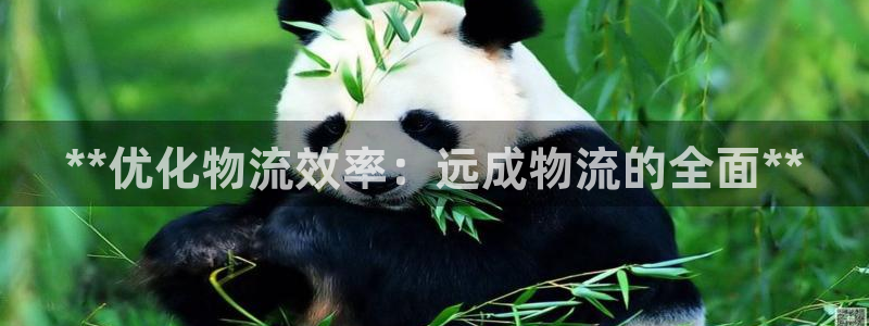 28圈新用户怎么注册：**优化物流效