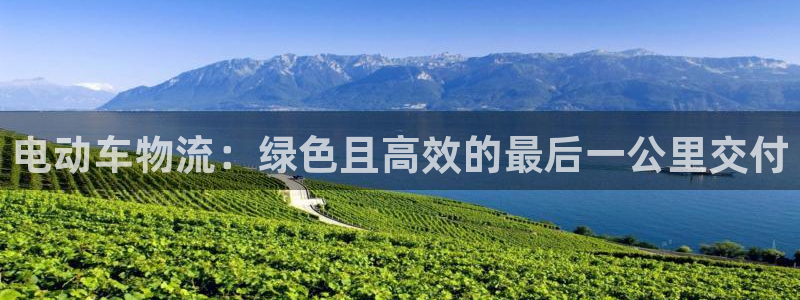 28圈pc预测