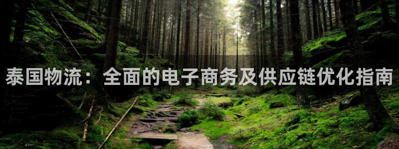 28圈注册网站链接：泰国物流：全面的