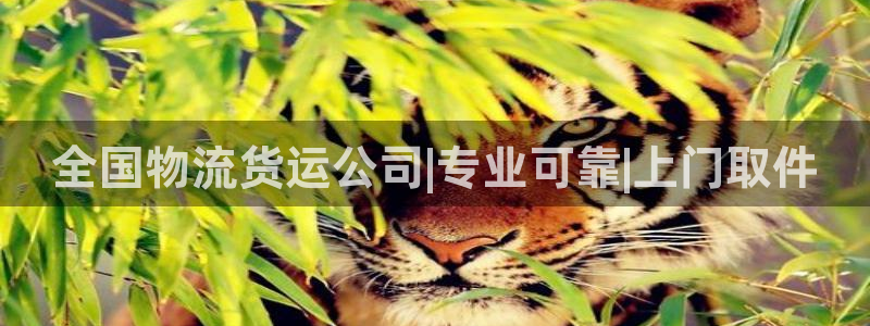 28圈旗下：全国物流货运公司|专业可