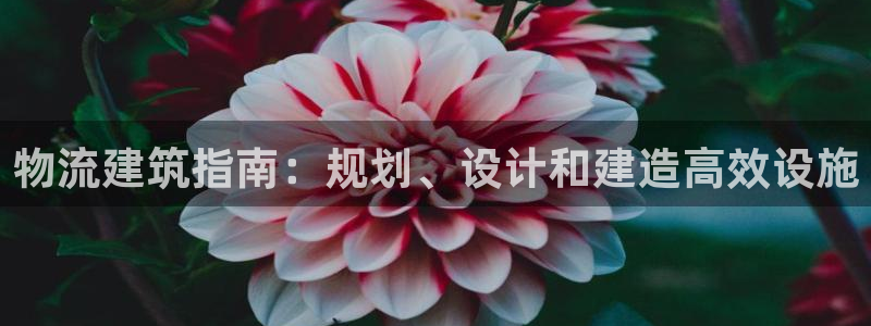 28圈能退款吗