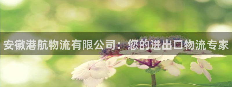28圈预测：安徽港航物流有限公司：您