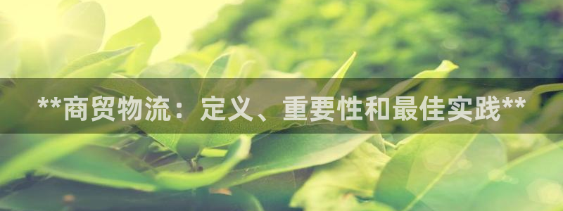 28圈加拿大最新版