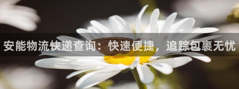 28圈模拟器在线使用