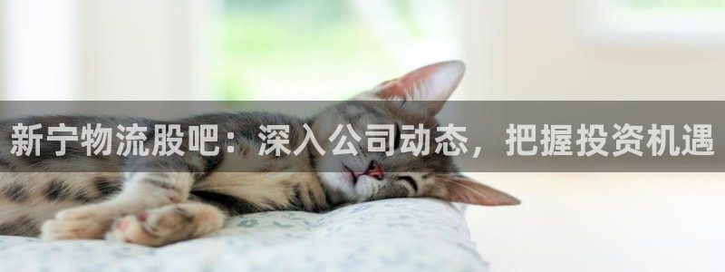 28圈怎么注册账号：新宁物流股吧：深