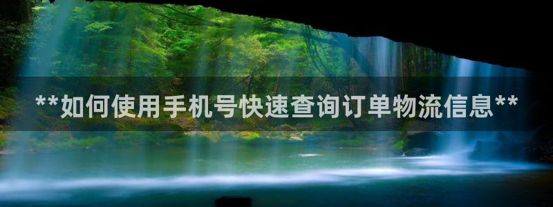 28圈怎么下载教程