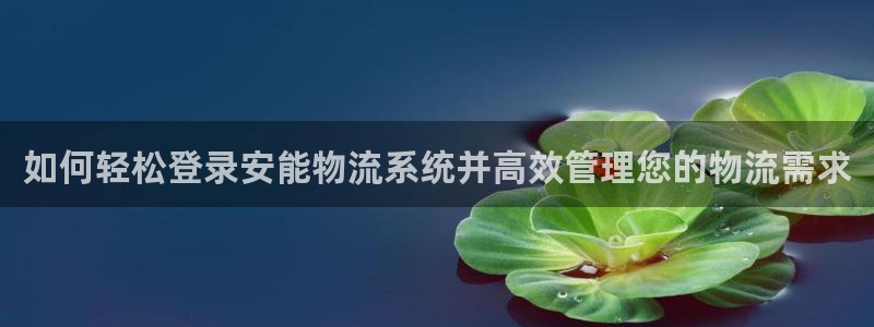 28圈加拿大6.0：如何轻松登录安能