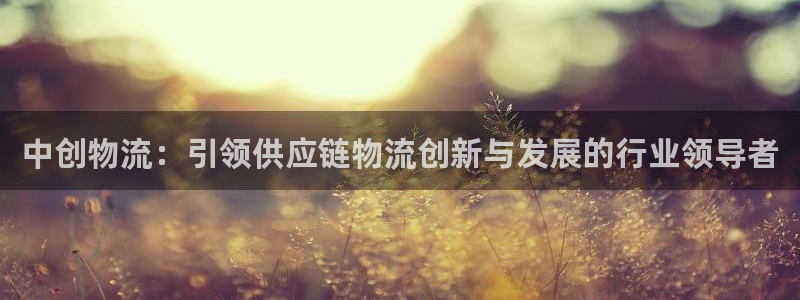 28圈pg如何退钱：中创物流：引领供