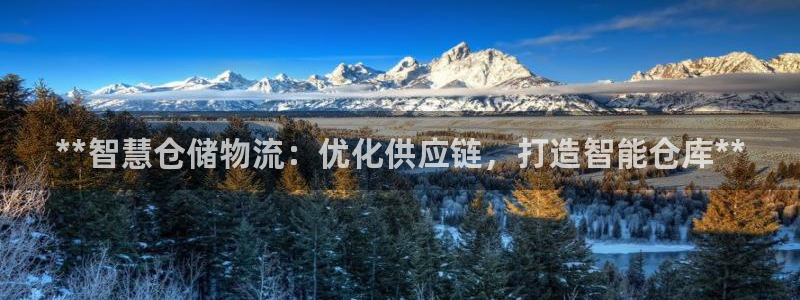 28圈注册上限是啥意思：**智慧仓储