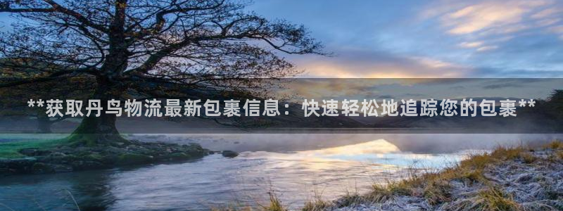 28圈反水什么时候到：**获取丹鸟物