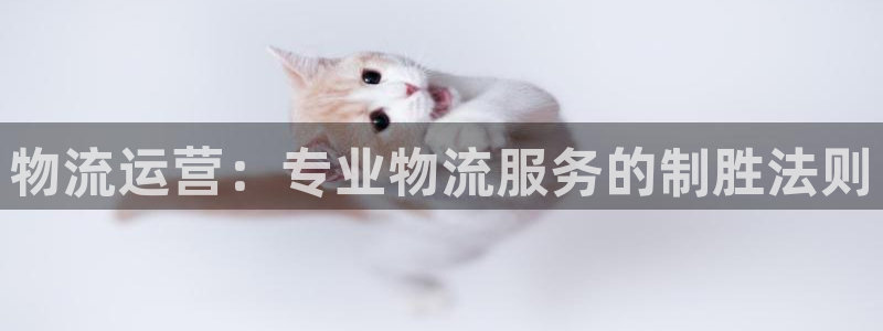 28圈推广链接是多少钱一个：物流运营