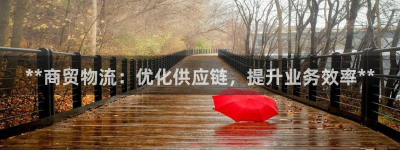 28圈游戏：**商贸物流：优化供应链