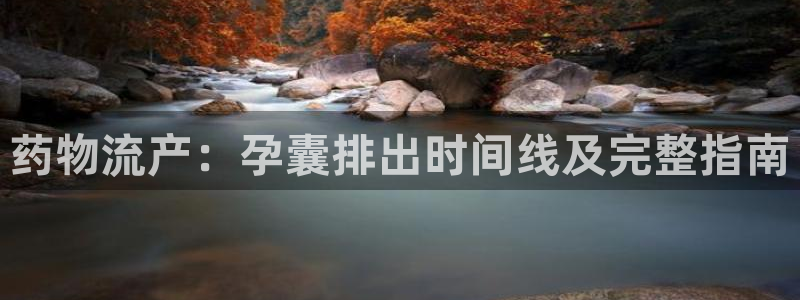 28圈系统自动保护：药物流产：孕囊排