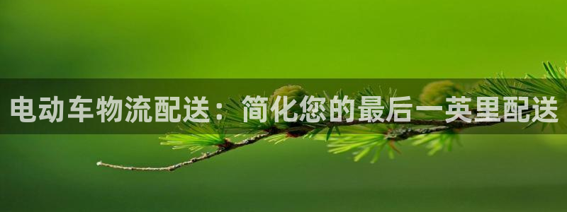 28圈是干嘛的：电动车物流配送：简化