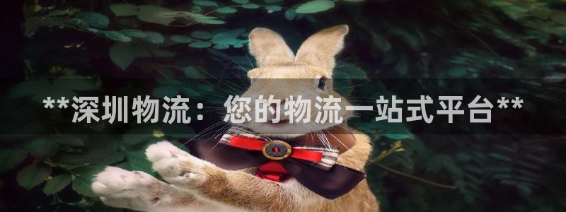 28圈推广链接是多少