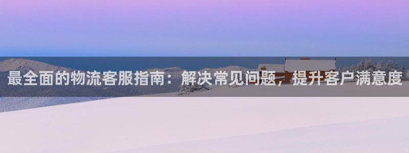 28圈p扣款什么意思：最全面的物流客