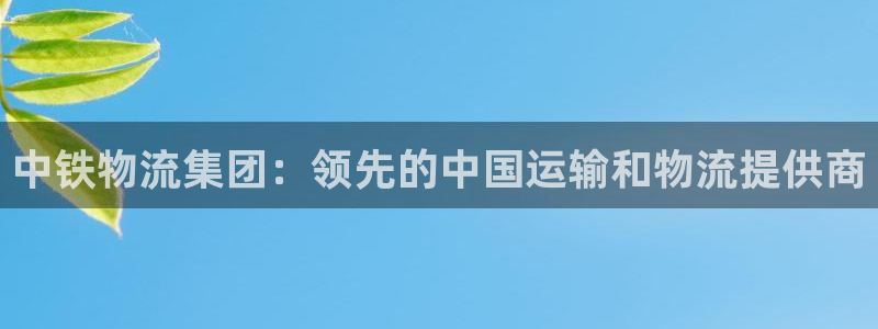 28圈p扣款什么意思
